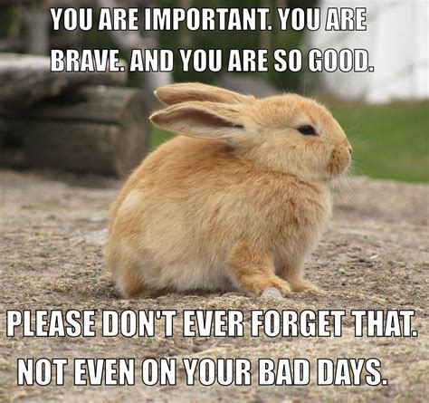 funny words of encouragement.